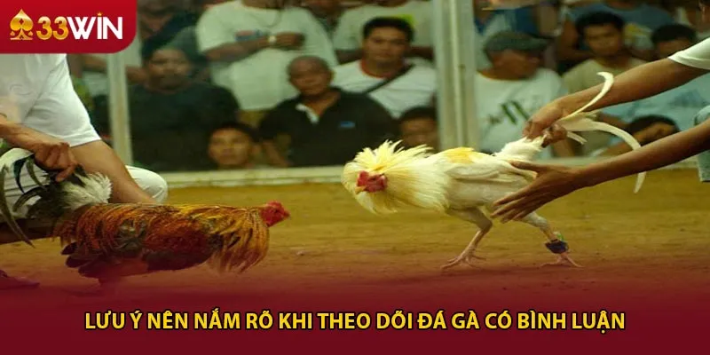 Lưu ý nên nắm rõ khi theo dõi đá gà có bình luận