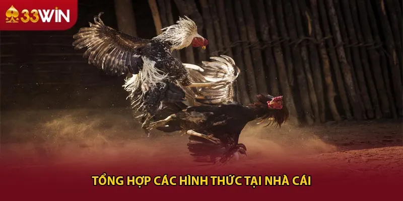 Tổng hợp các hình thức tại nhà cái